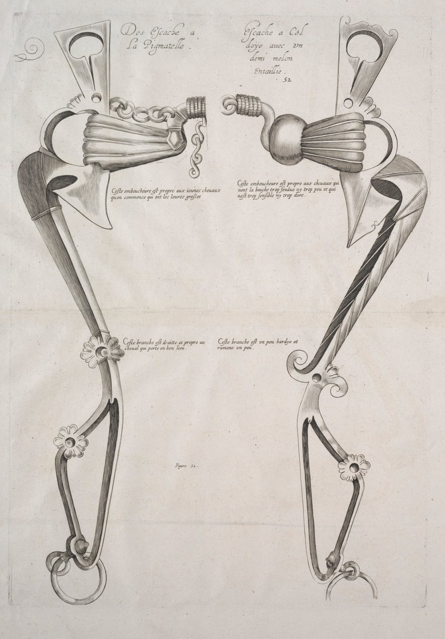 Diagrama del bocado del caballo de Unknown artist