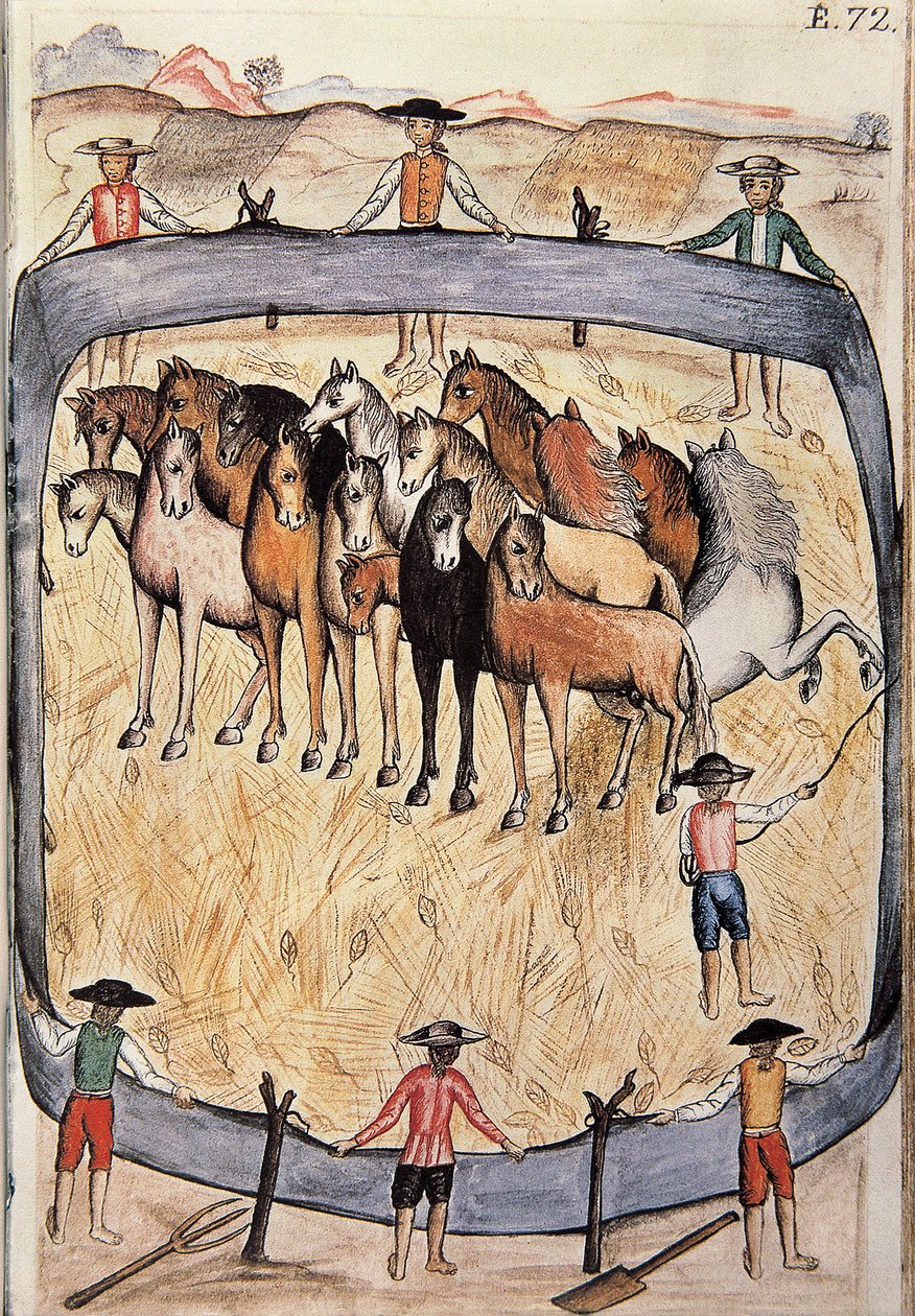 Doma de caballos salvajes, del libro "Trujillo del Perú" o "Códice Martínez Compañón", por Baltazar Martínez Compañón y Bujanda, obispo de Trujillo (1782-1785) de Unknown artist