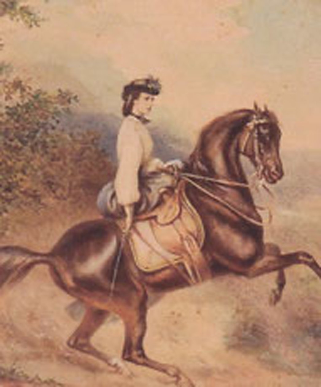 Isabel, emperatriz de Austria y reina consorte de Hungría (24 de diciembre de 1837 - 10 de septiembre de 1898) (ilustración) de Unknown artist