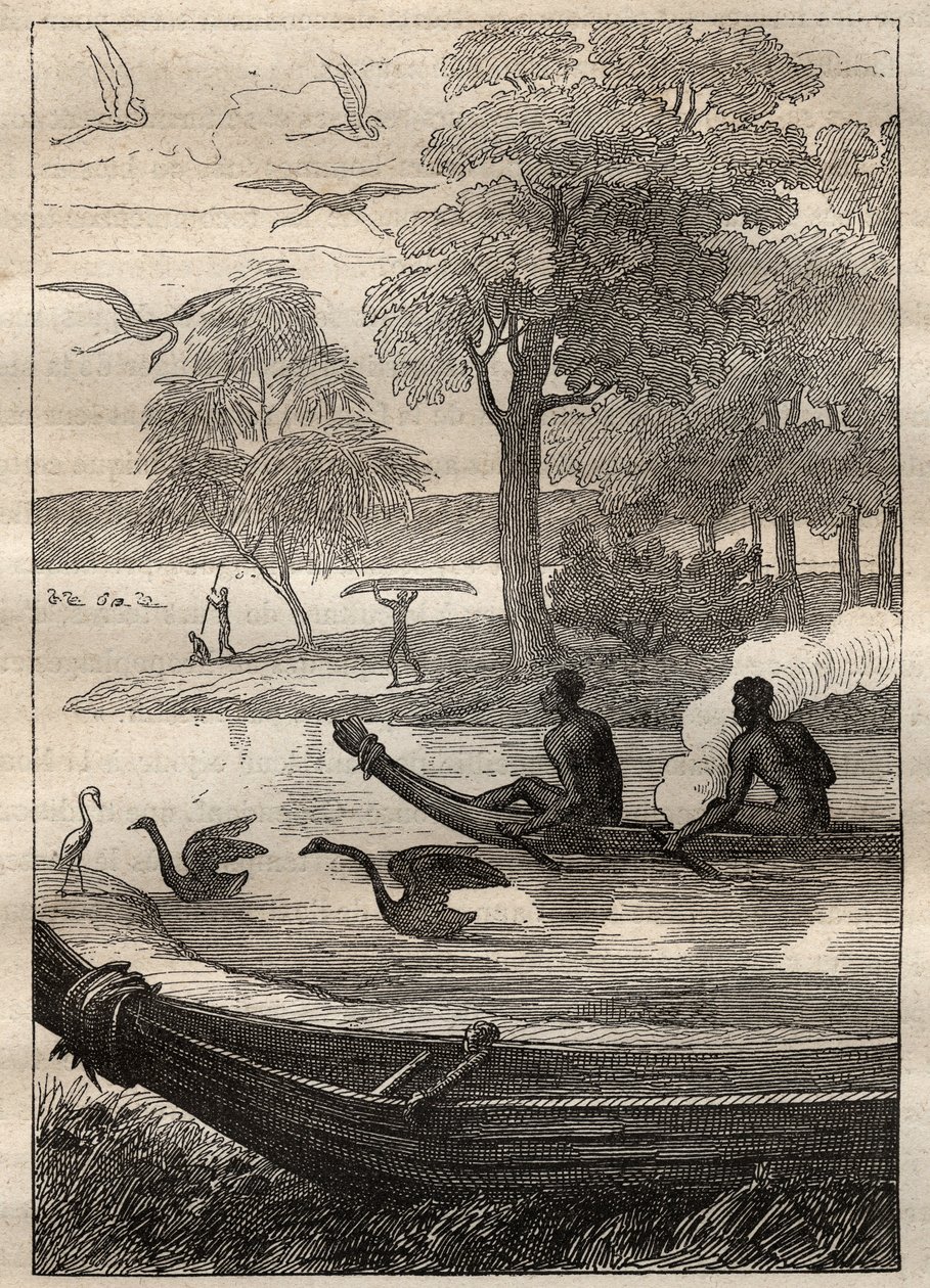 Expedición de Antoine Bruny de Unknown artist