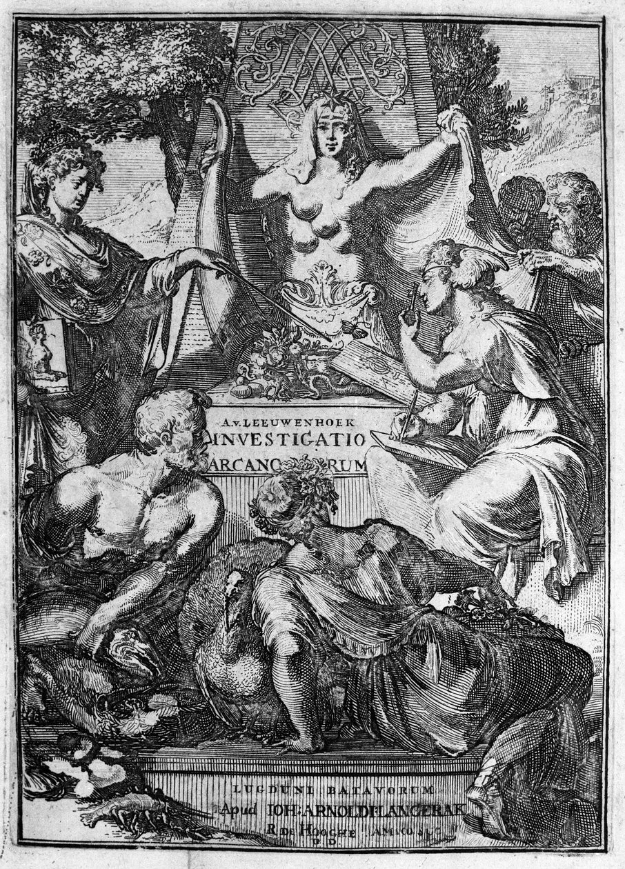 Falso título de la obra “Investigatio Arcanorum” del comerciante y erudito holandés Antoine van Leeuwenhoek (1632-1723) 1722 de Unknown artist