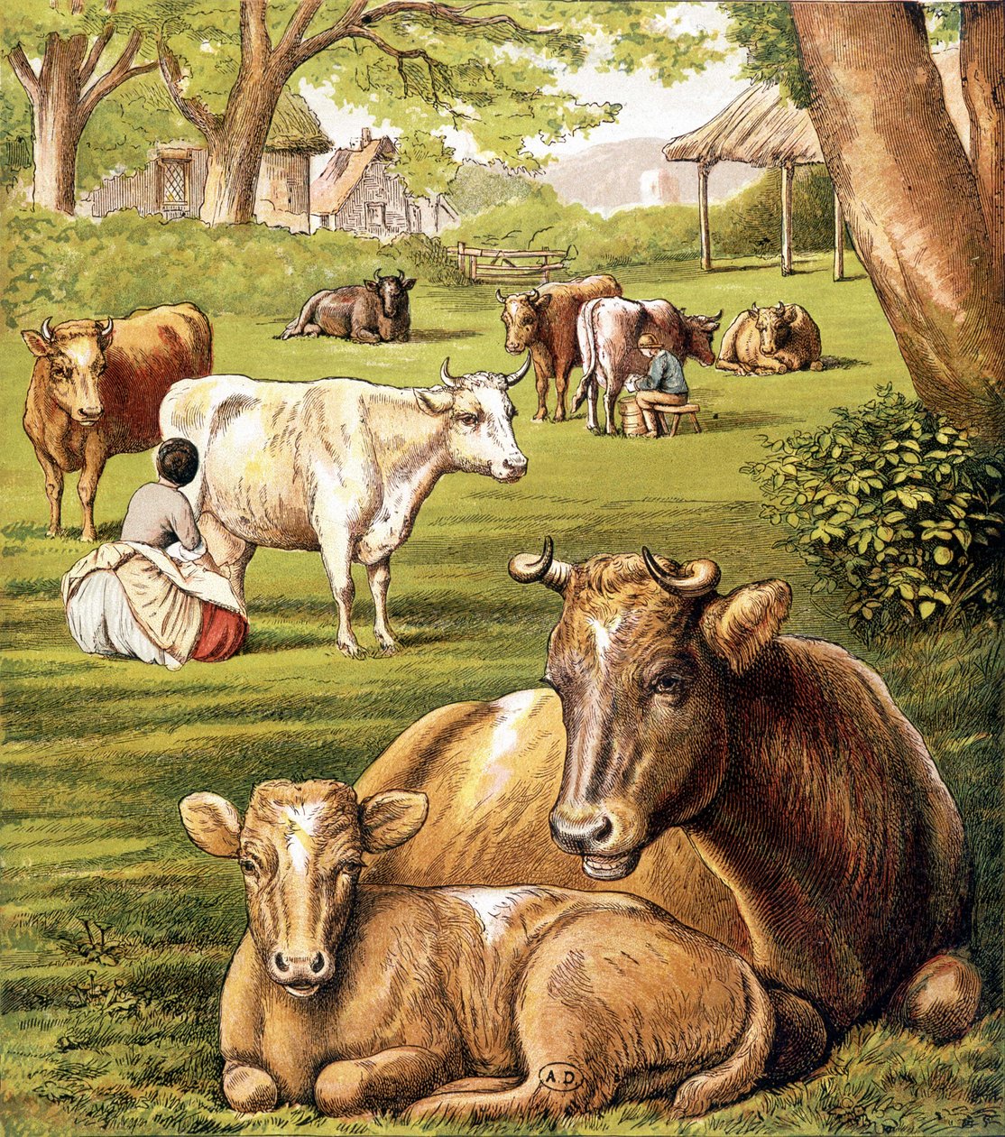 Granjeros ordeñando. Siglo XIX. de Unknown artist