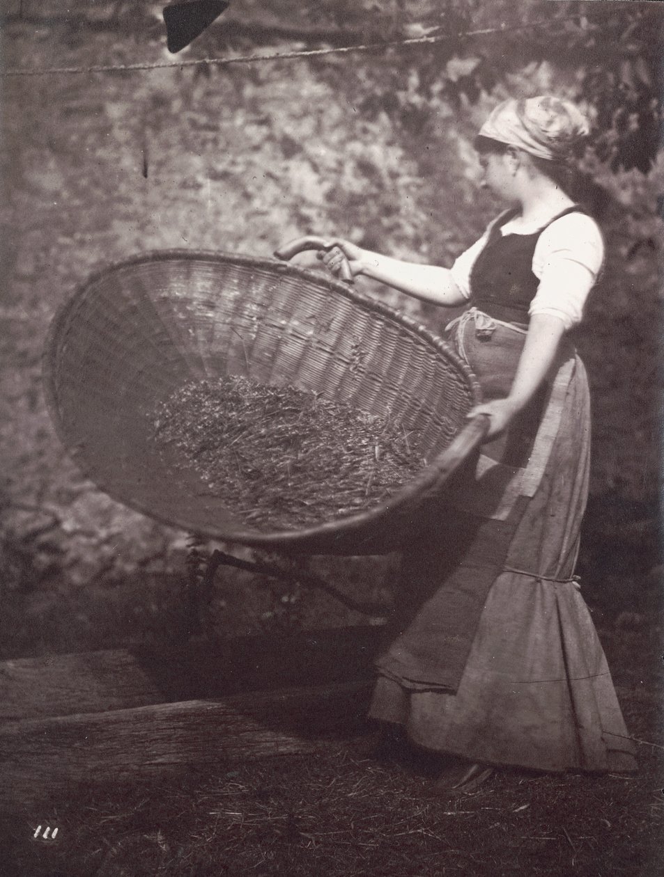 [Campesina con cesta de aventar] de Unknown artist