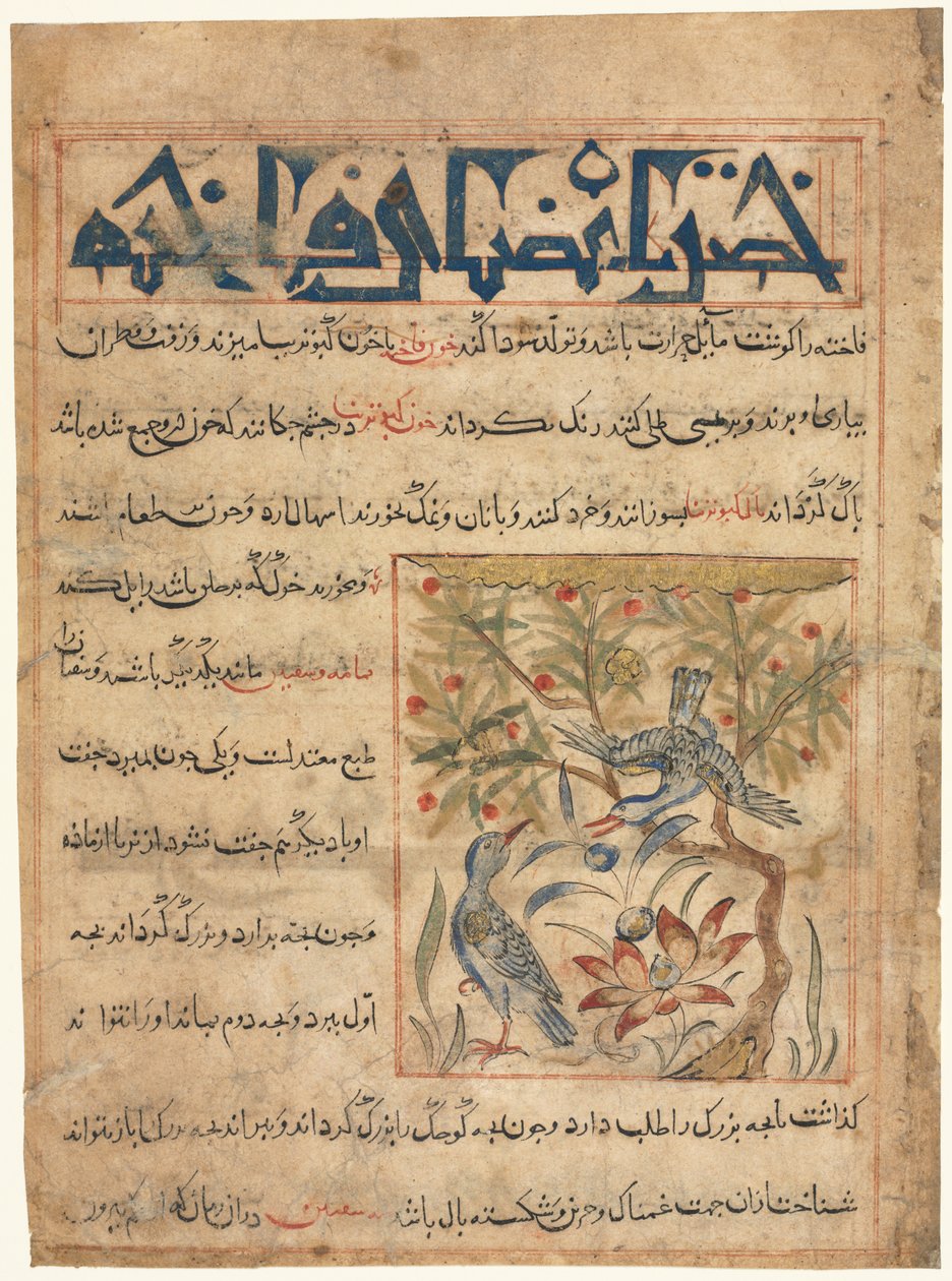 Folio de un Manafi