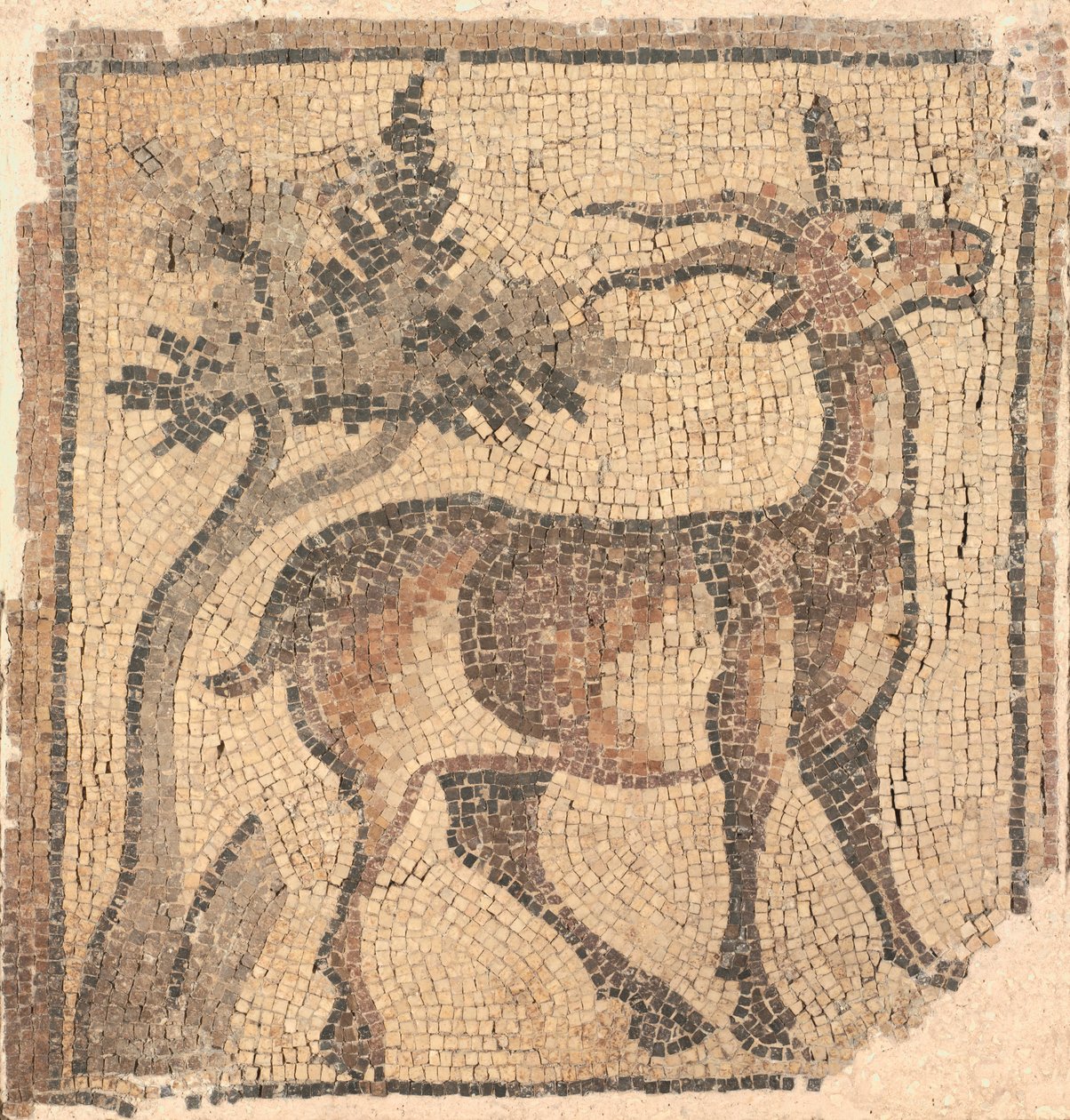 Fragment of a Floor Mosaic: Ibex near a Tree de Unknown artist