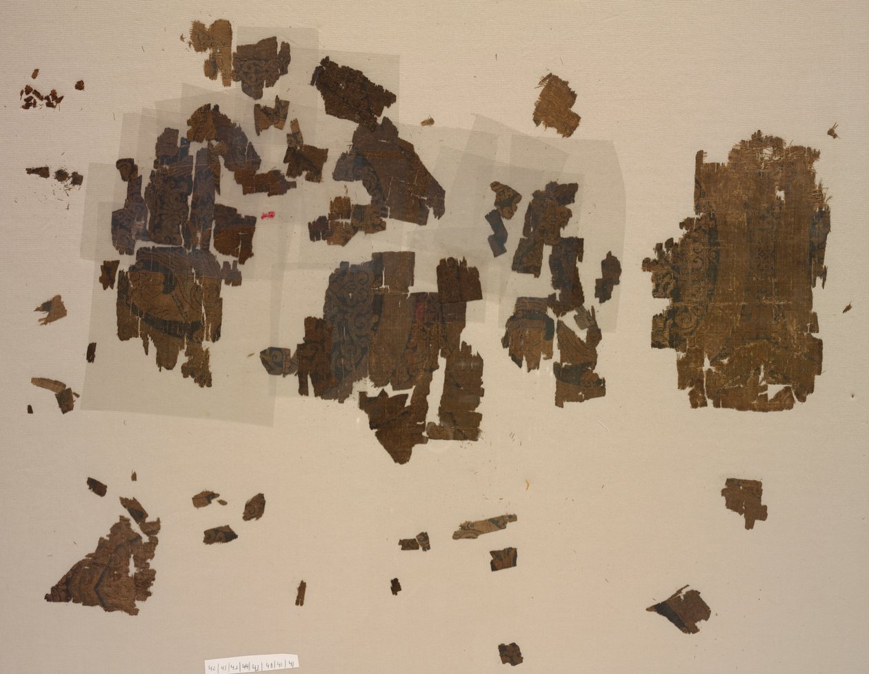 Fragments with winged lions in roundels de Unknown artist