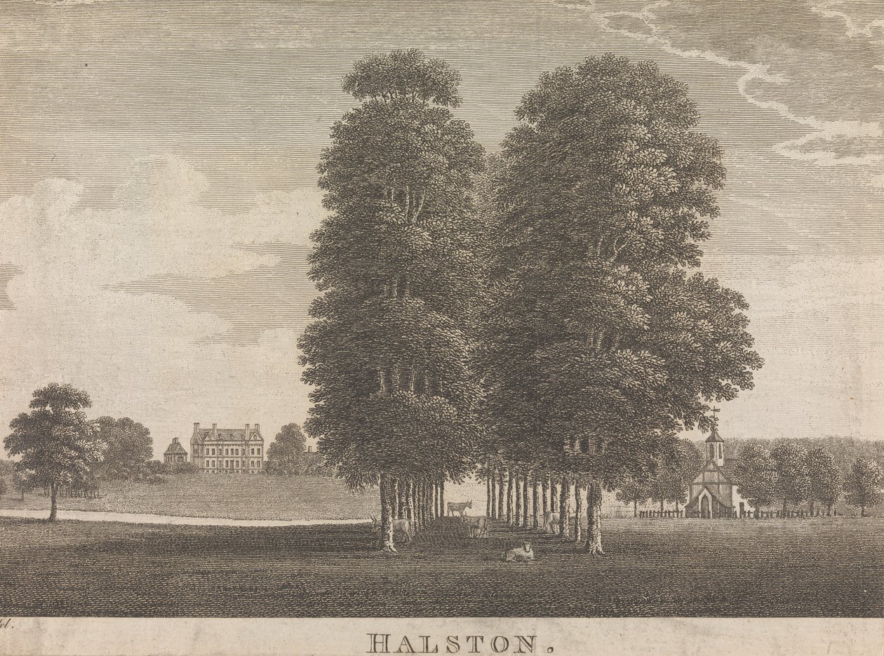 Halston; página 22 (Volumen Dos) de Unknown artist