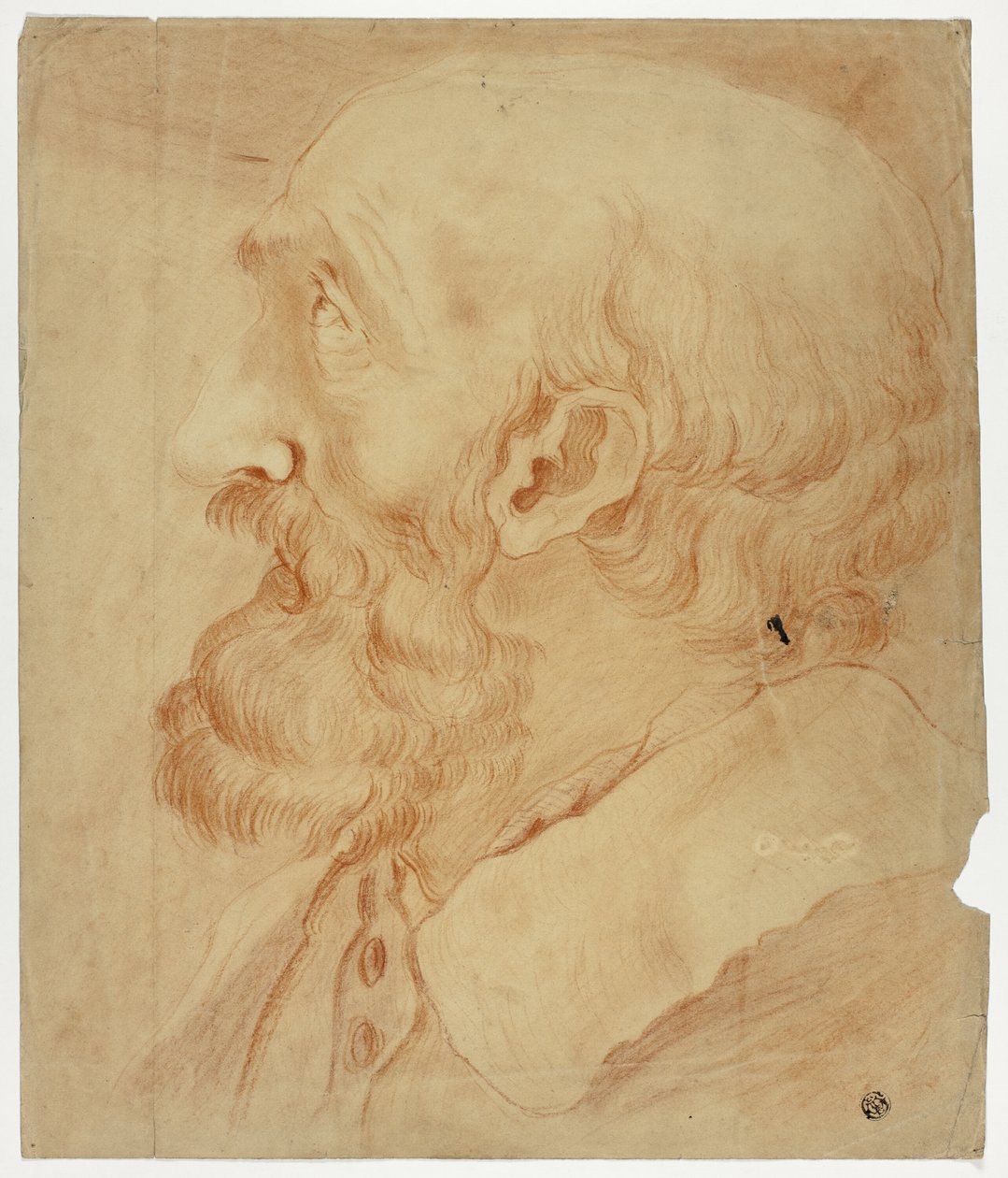 Cabeza de hombre barbudo de perfil de Unknown artist