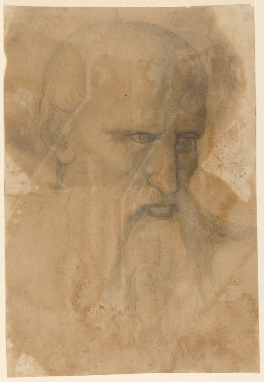 Cabeza de un anciano barbudo de Unknown artist