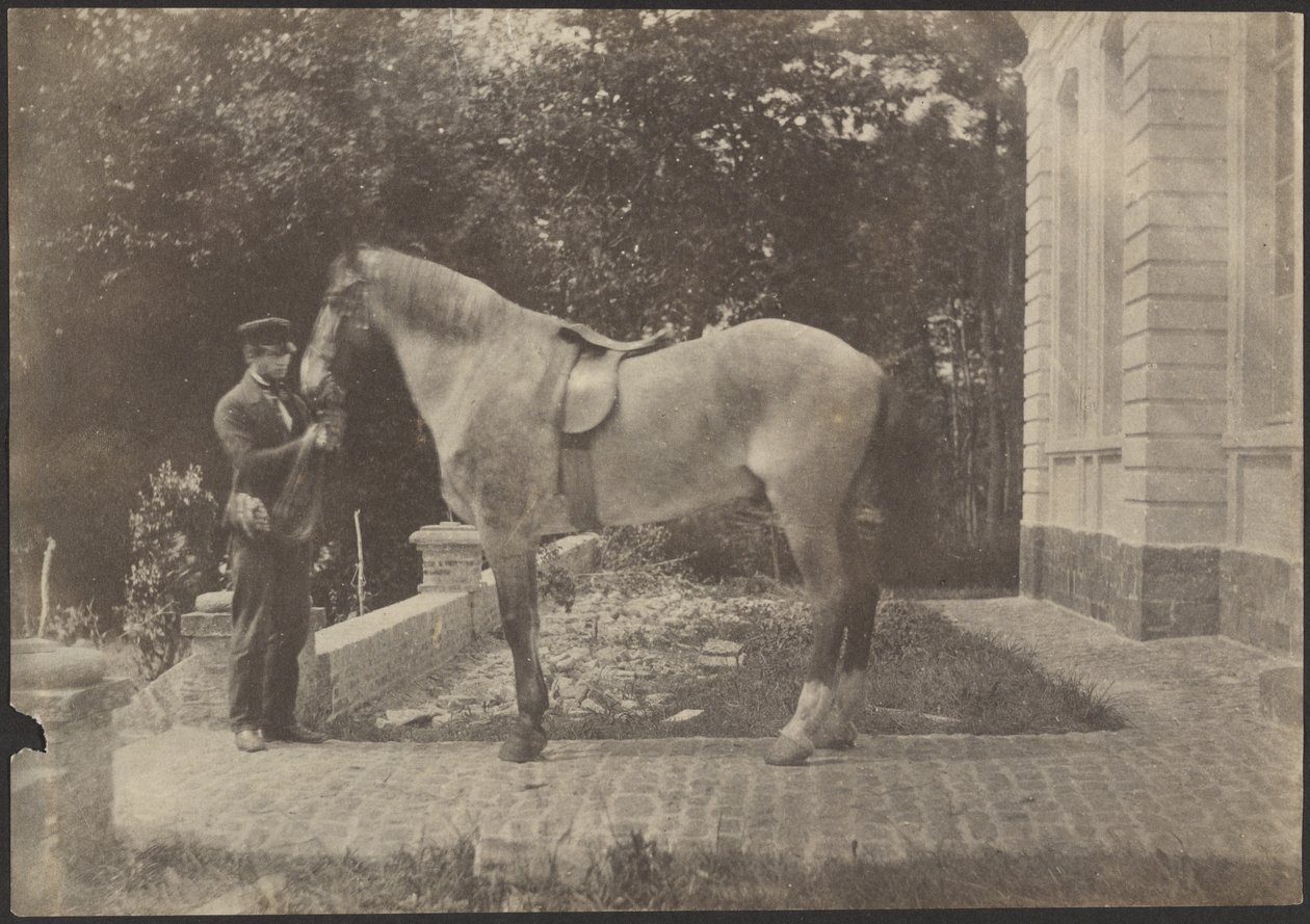 [Caballo y Hombre] de Unknown artist