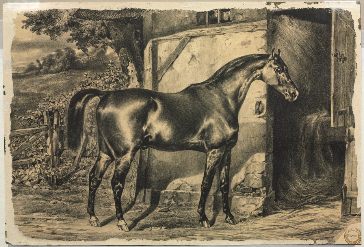 Caballo frente a un granero (reverso) de Unknown artist