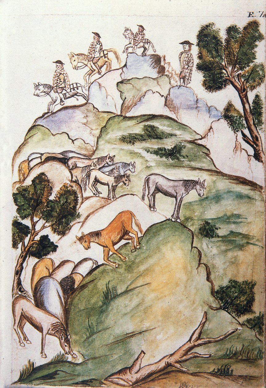 Cuidadores de caballos rodean yeguas en las montañas para atraparlas, del libro "Trujillo del Perú" o "Códice Martínez Compañón", por Baltazar Martínez Compañón y Bujanda, obispo de Trujillo (1782-1785) de Unknown artist