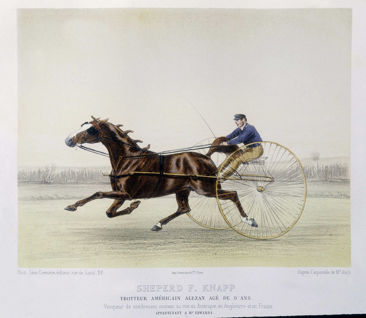 Equitación: Pastor F. Knapp, trotador - en "El Centauro" de Unknown artist