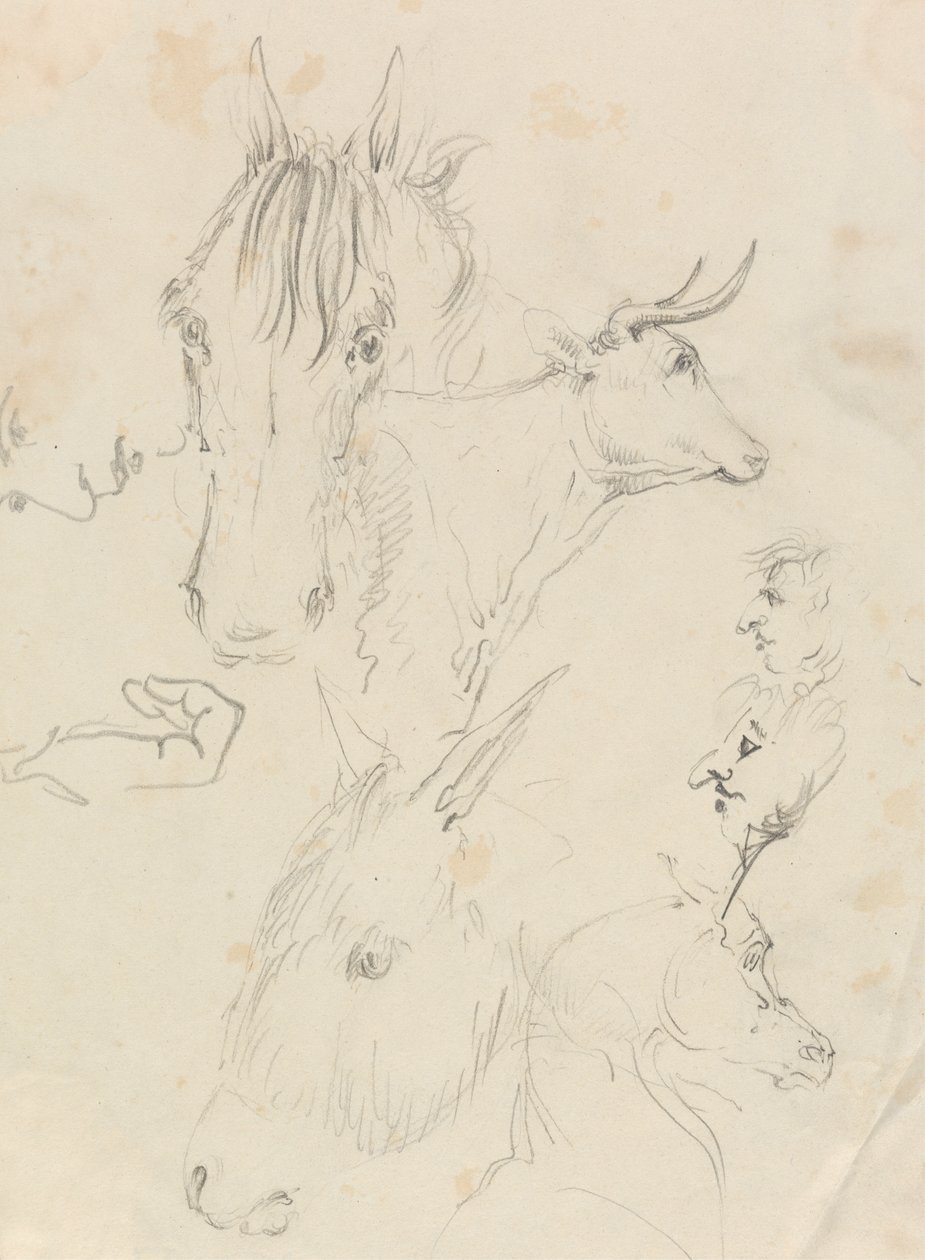 Caballos, vacas y hombres de Unknown artist