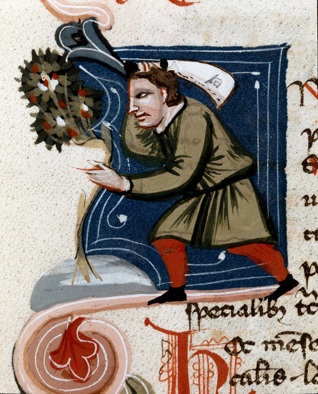 Horticultura: plantando un árbol. Detalle. Página de manuscrito (MS.s.vi) “Tratado de agraria” de Pietro de Crescenzi. Siglo XIV. Cesena, Biblioteca Malatestiana de Unknown artist