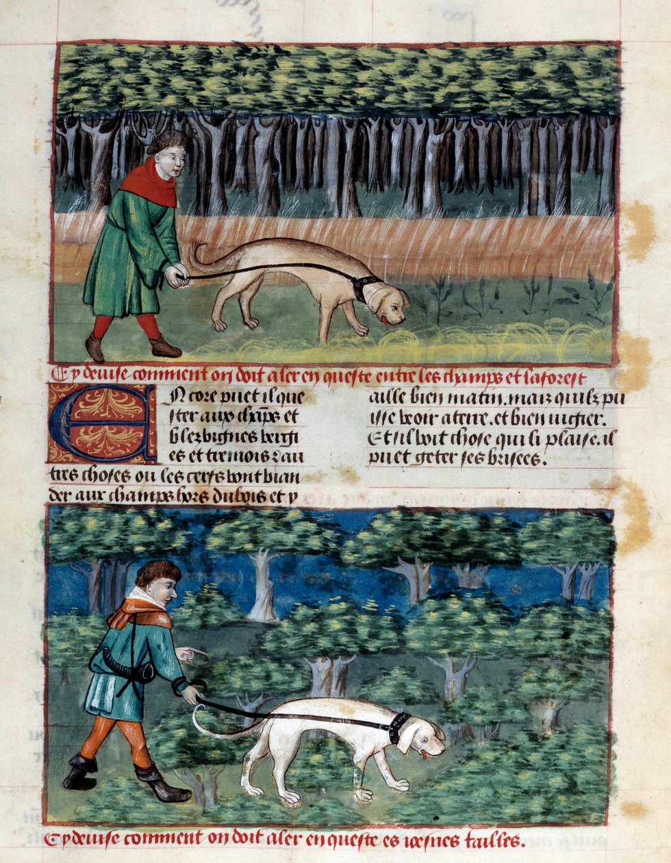 Cómo conducir perros Miniatura tomada de “El libro de la caza” por Gaston III Phoebus, Conde de Foix, Señor de Bearn (1331-1391) de Unknown artist