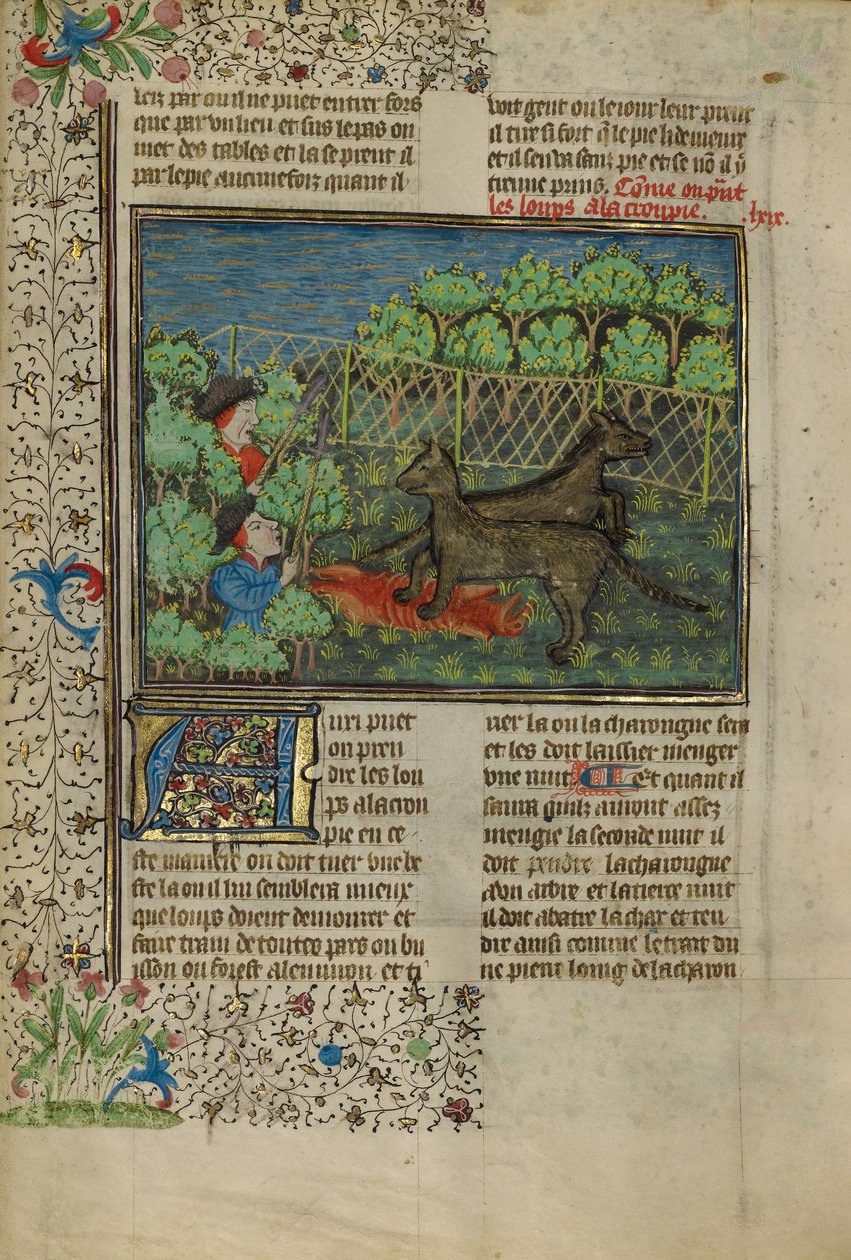 Los cazadores atraen a los lobos con carroña de Unknown artist