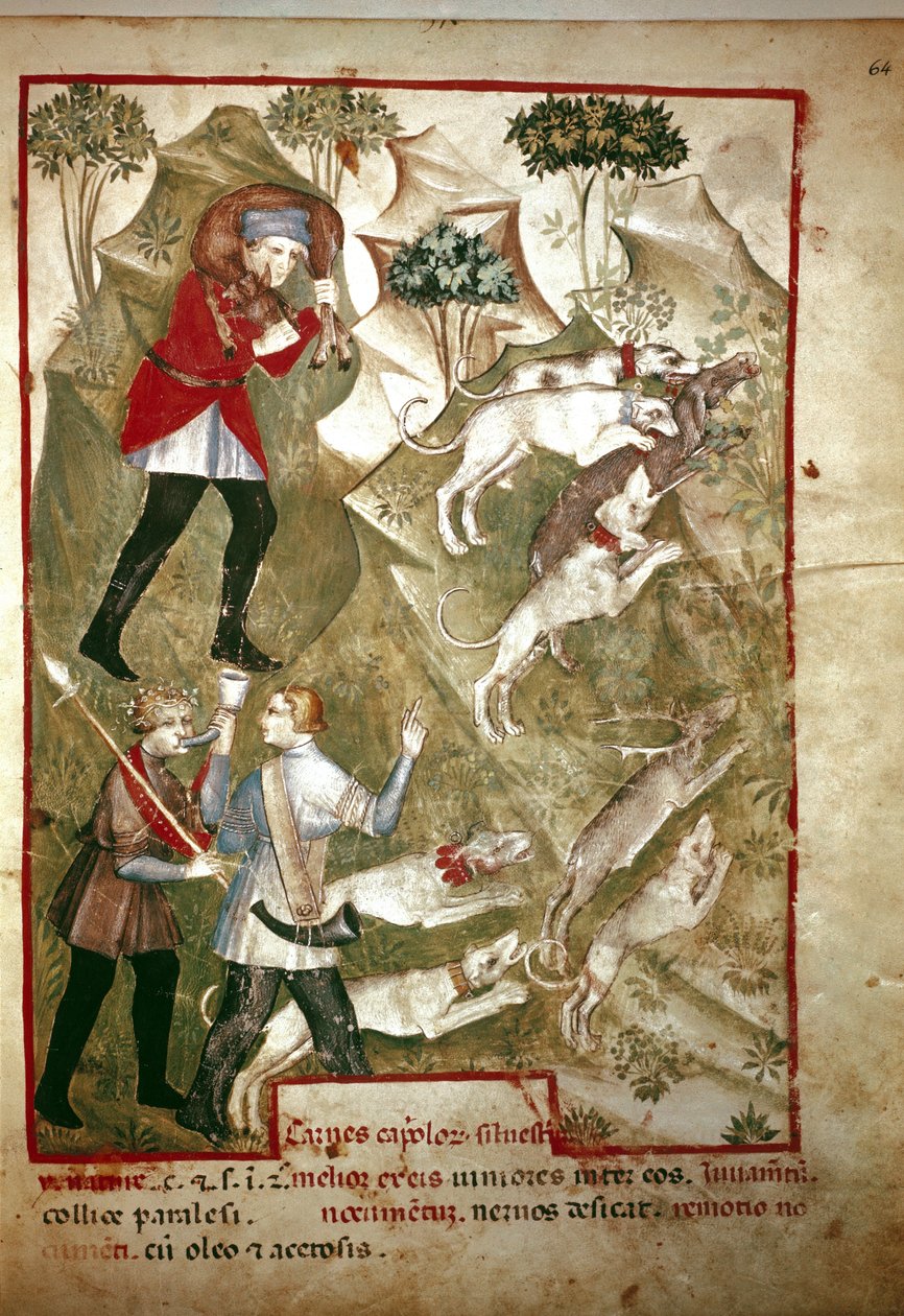 Caza (Miniatura, siglo XIV) de Unknown artist