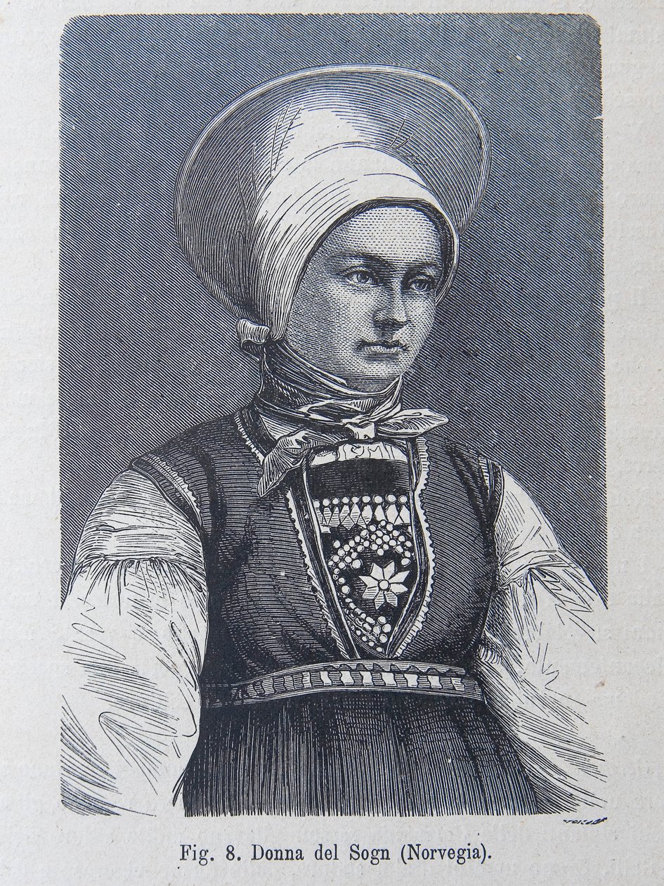 Ilustración de "La raza humana" de Louis Figuier de Unknown artist
