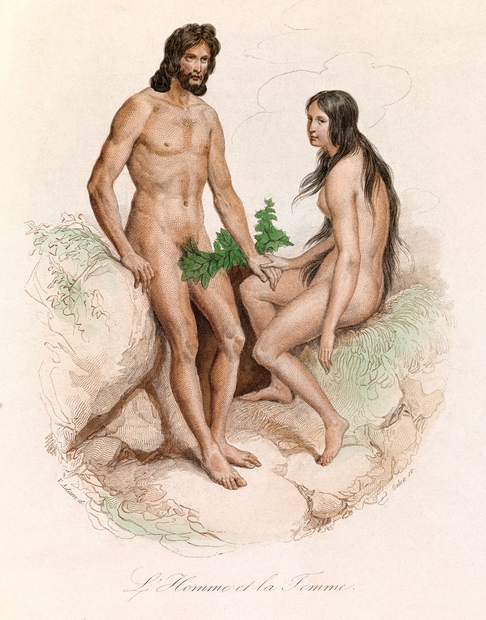 Ilustración del libro "Obras Completas de Buffon": Historia Natural del Hombre: El hombre y la mujer (grabado) de Unknown artist