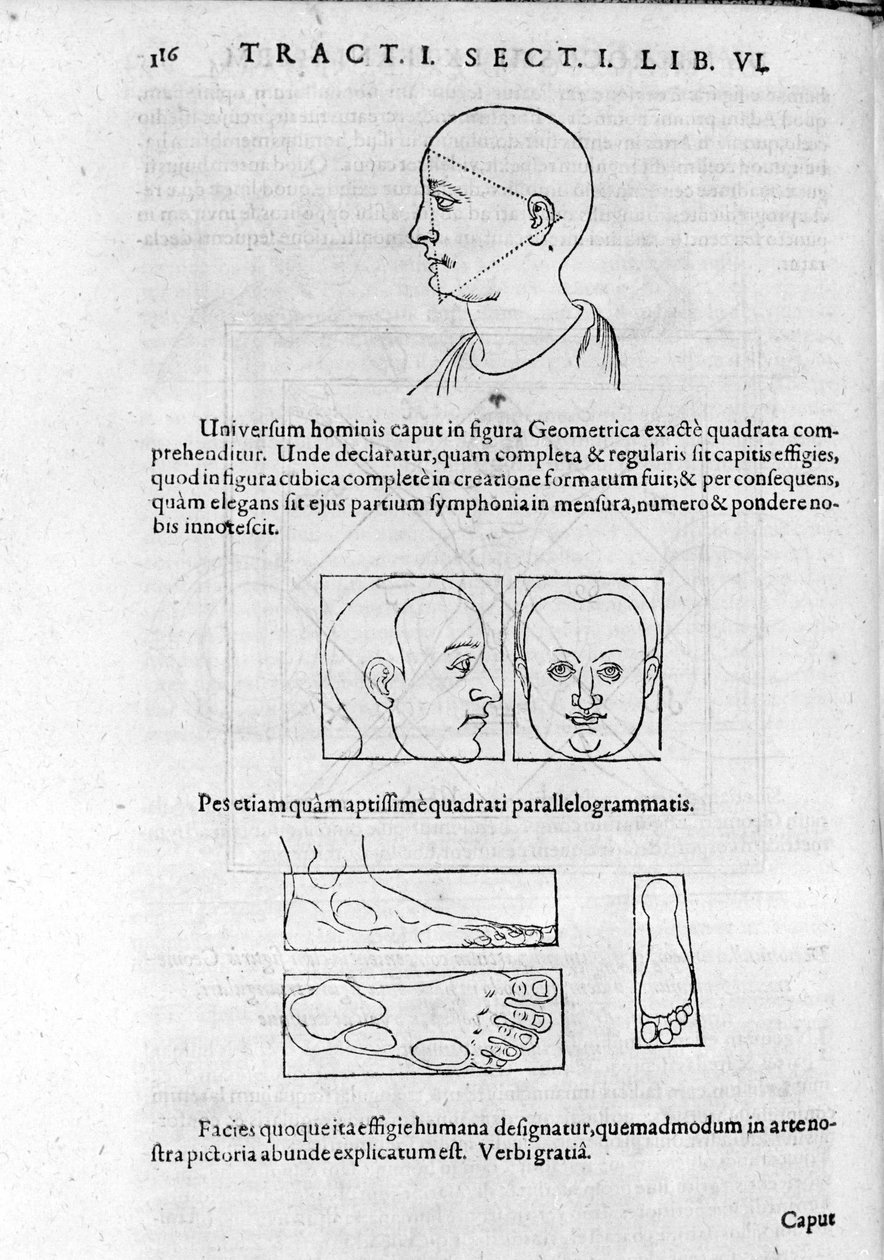 Imagen de fisionomía de "Collectio Operum" de Robert Fludd (Robertus de Fluctibus). Londres 1617. de Unknown artist