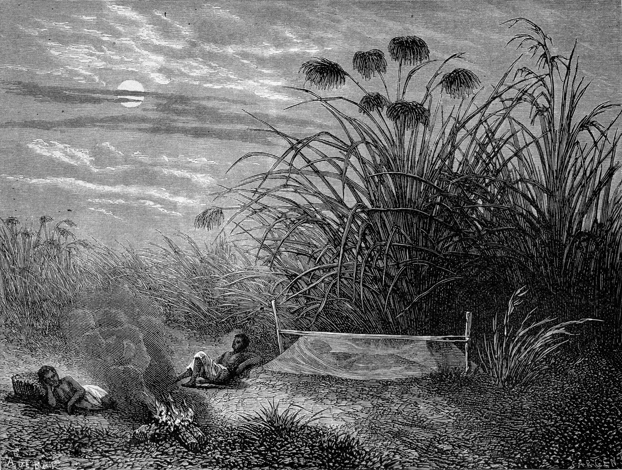 En Masoumbo: Mosquitero de Livingstone - “El último viaje de Livingstone 1866-1873” en “Tour du Monde”, 2do semestre de 1875 de Unknown artist