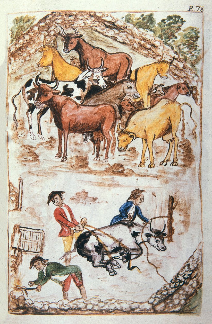 Guardianes indios de vacas, del libro "Trujillo del Perú" o "Códice Martínez Compañón", por Baltazar Martínez Compañón y Bujanda, obispo de Trujillo (1782-1785) de Unknown artist