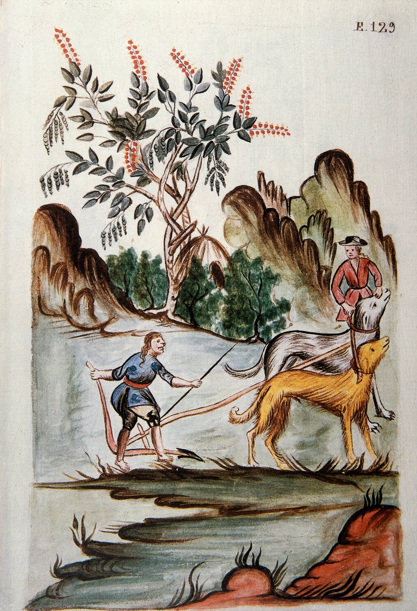 Indios arando un campo con perros, del libro "Trujillo del Perú" o "Códice Martínez Compañón", por Baltazar Martínez Compañón y Bujanda, obispo de Trujillo (1782-1785) de Unknown artist