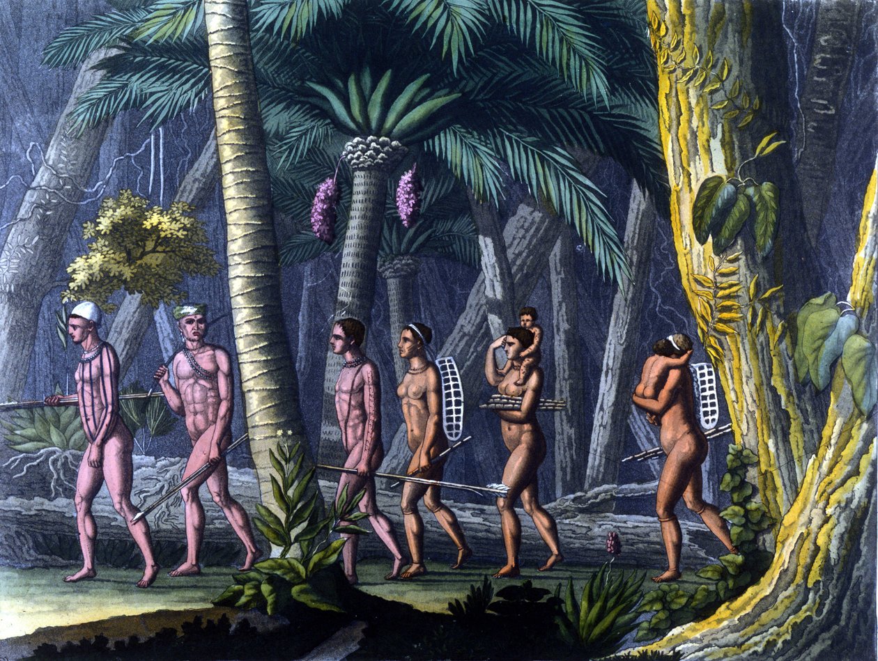 Indios Puris en el Bosque de Unknown artist