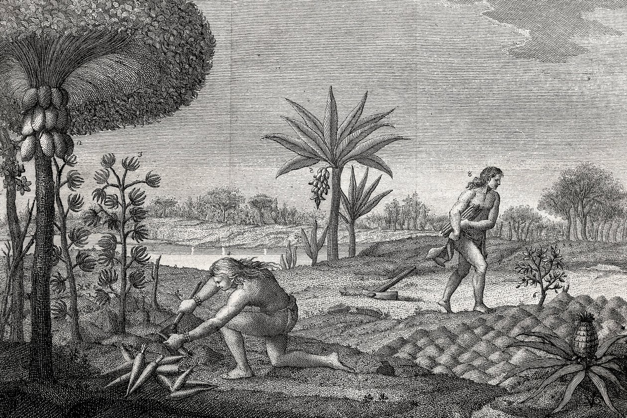 Indígenas trabajando la tierra en la cuenca del Orinoco de Colombia. Grabado 1780 de Unknown artist