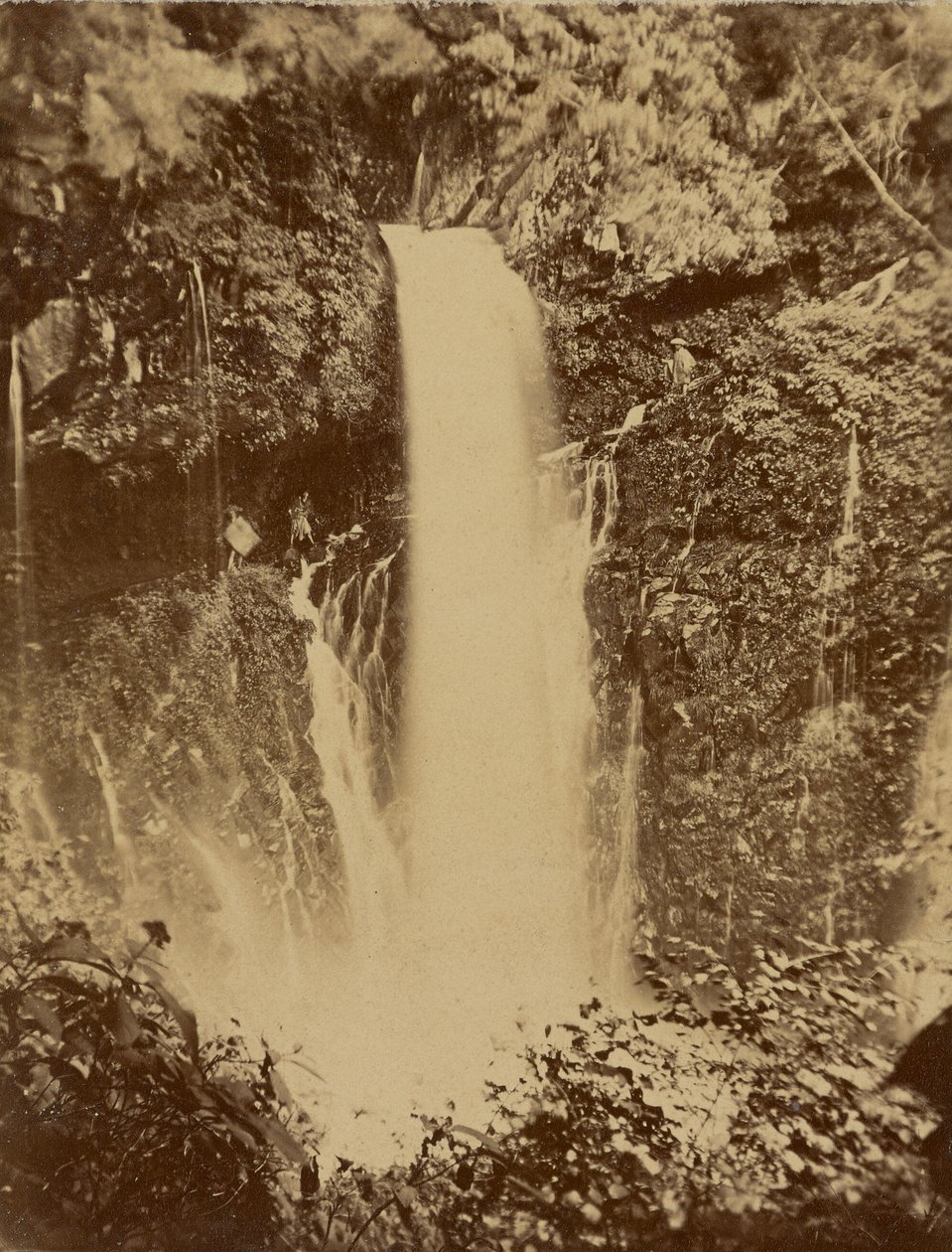 [Cascada japonesa] de Unknown artist