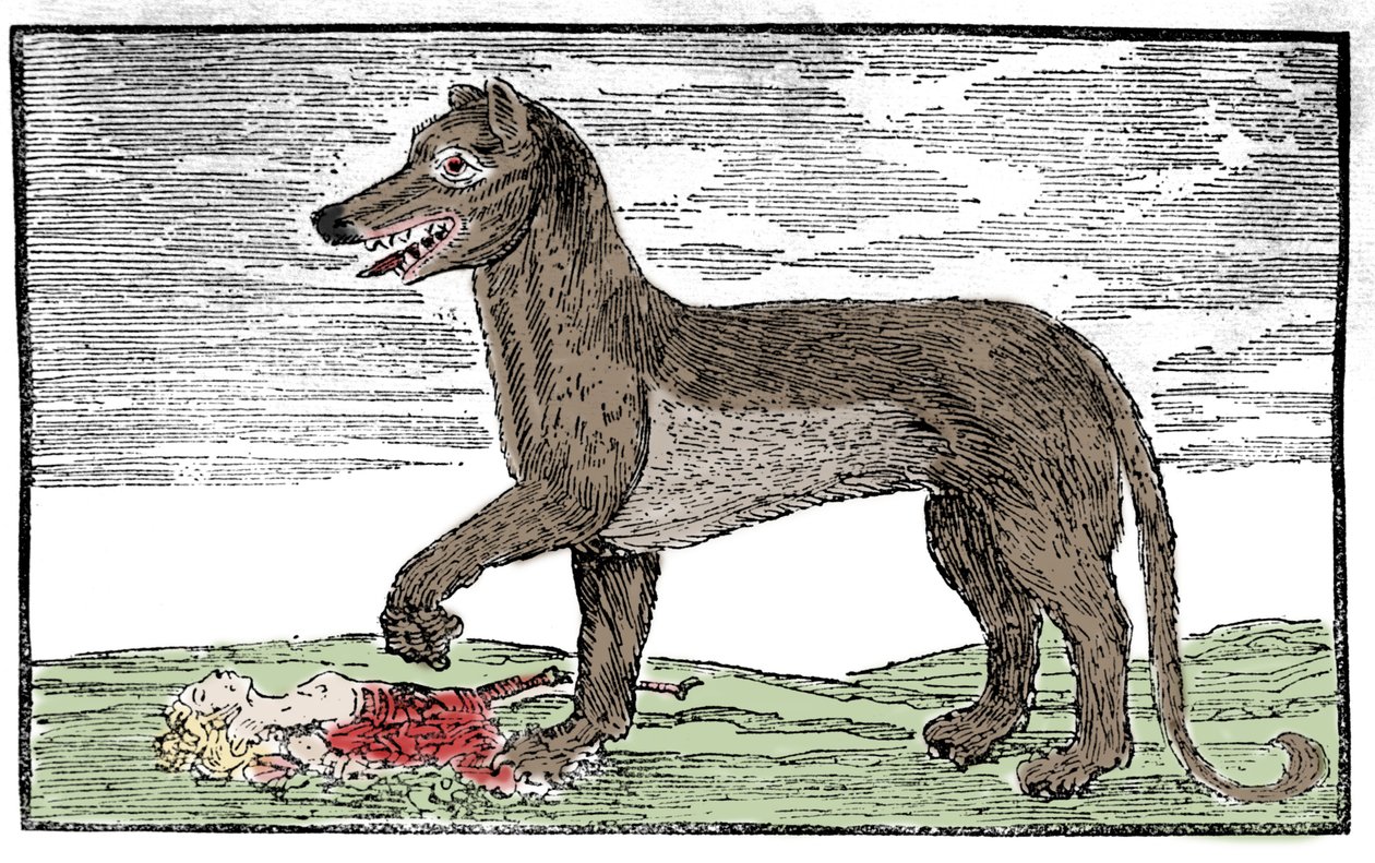 La bestia del Gévaudan, grabado de 