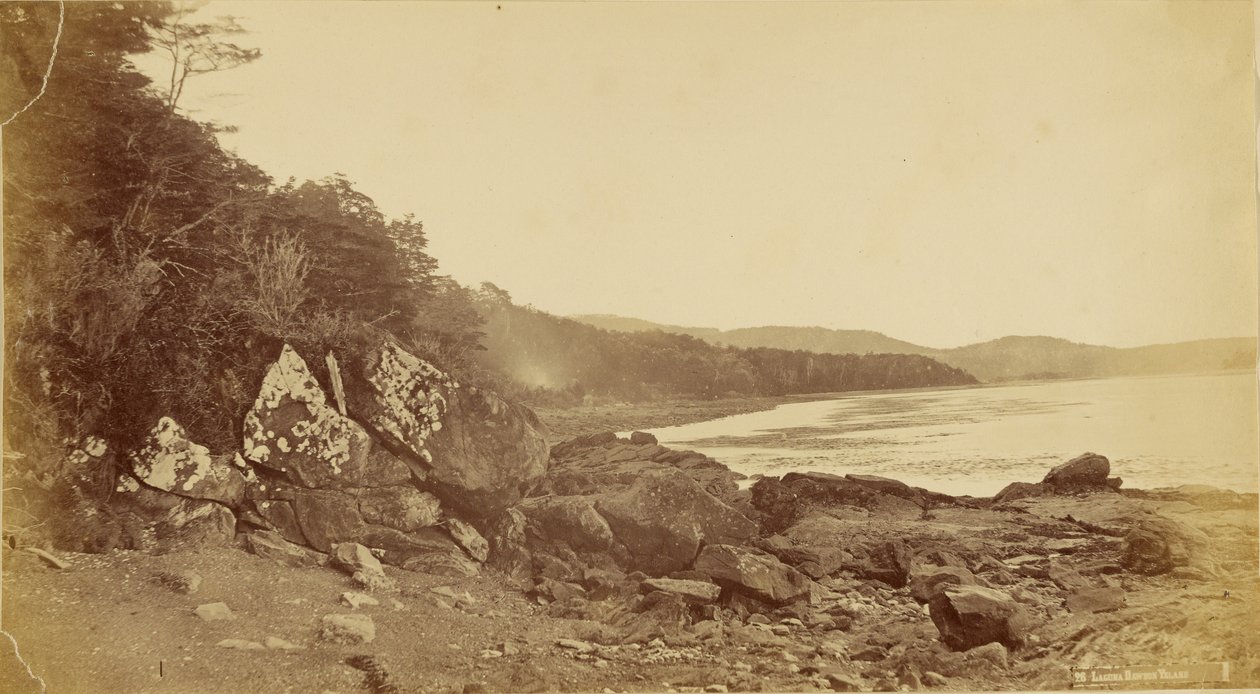 Laguna de la Isla Dawson. de Unknown artist