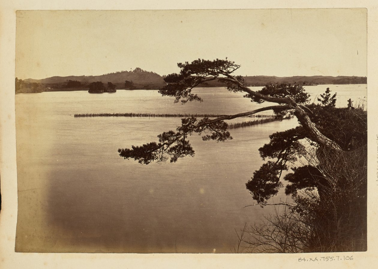 [Paisaje con lago y árboles] de Unknown artist