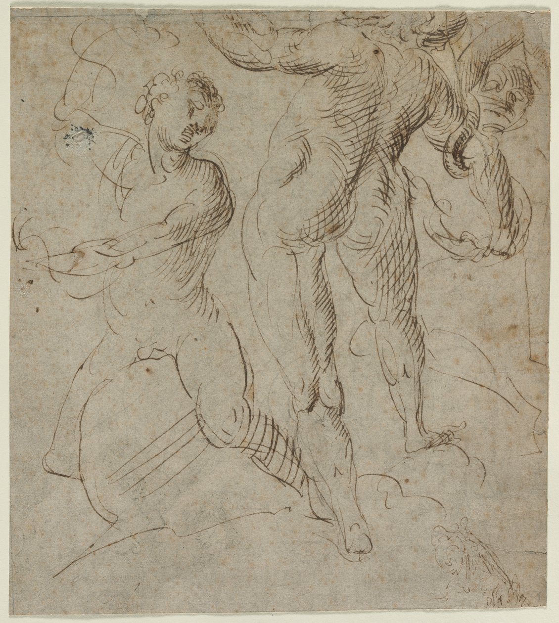 Laocoonte (recto) de Unknown artist