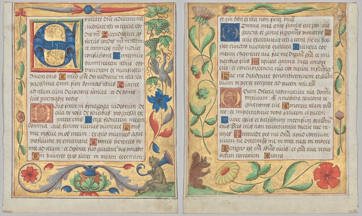 Hoja de un salterio y libro de oraciones: E inicial con borde ornamental que contiene un sátiro sentado y un pájaro comiendo uvas (anverso) y borde ornamental con flores y ardilla (verso) (2 de 3 hojas extirpadas) de Unknown artist