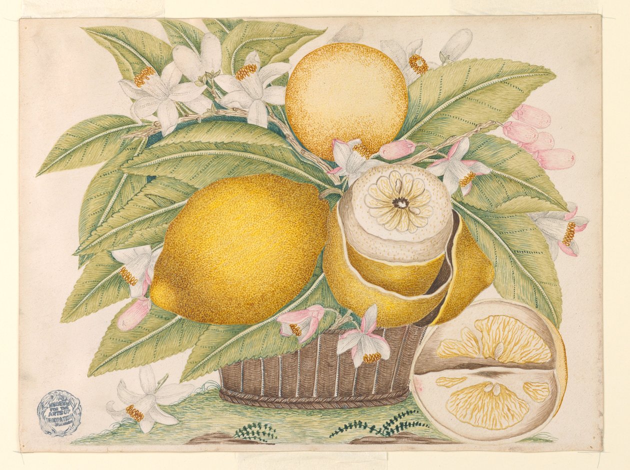 Limones y flores de limón en una canasta de Unknown artist