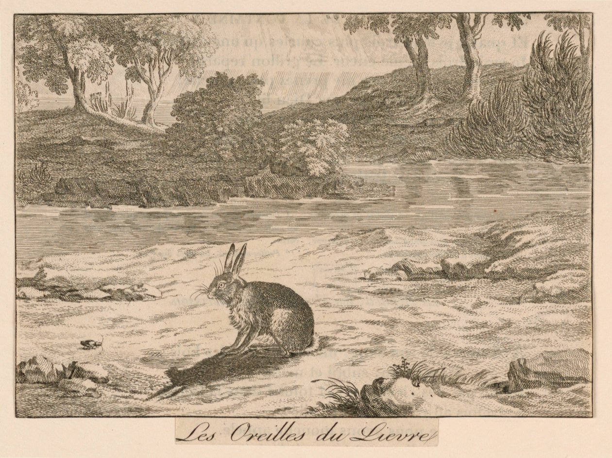 "Les Oreilles du Lieure" de las Fábulas de La Fontaine de Unknown artist