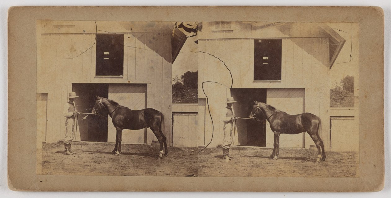 [Hombre sujetando al caballo por la brida] de Unknown artist