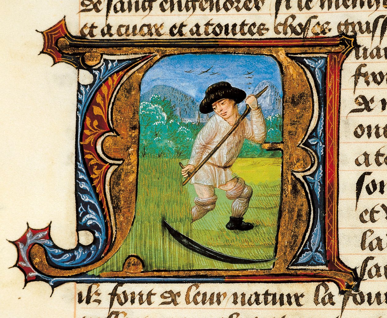Medicina: un campesino segando el trigo. Miniatura tomada del Tratado de Medicina de Aldebrando de Florencia de Unknown artist