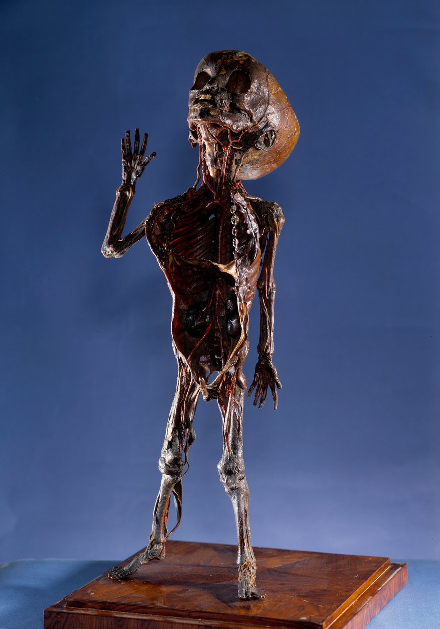 Medicina: figurilla de cáscara de Unknown artist