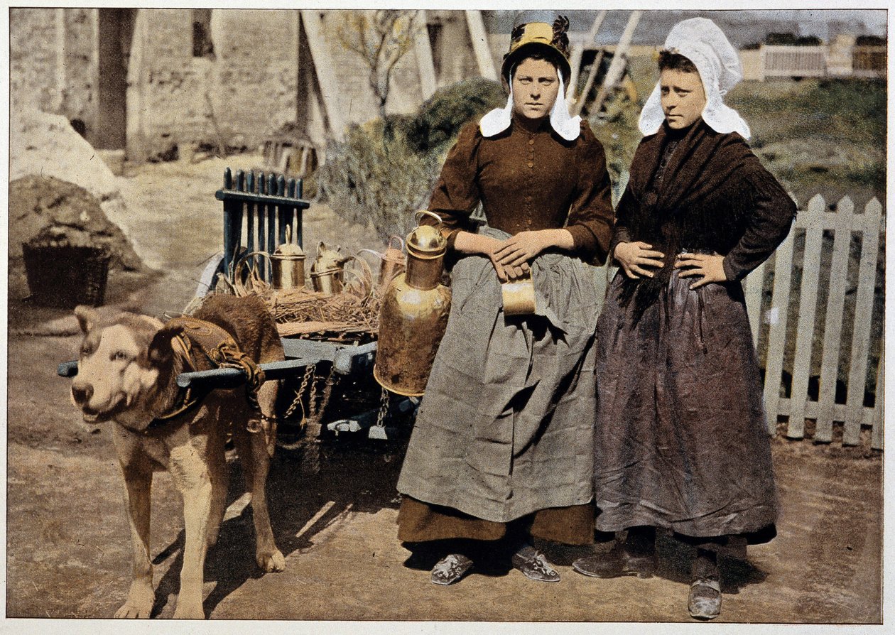 Vendedores de leche y carro de perros de Amberes, finales del siglo XIX de Unknown artist