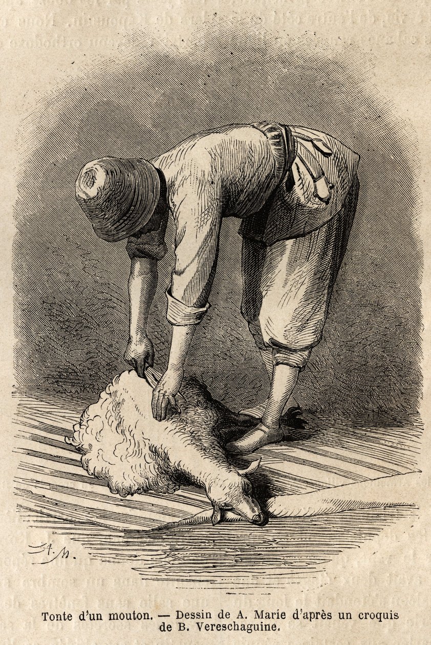 Esquila de una oveja por un joven tártaro, en Schusha (Transcaucasia, Rusia). Grabado para ilustrar el viaje en las provincias del Cáucaso, por Basile Vereschaguine, en 1864-1865, publicado en “Le tour du monde”, bajo la dirección de D