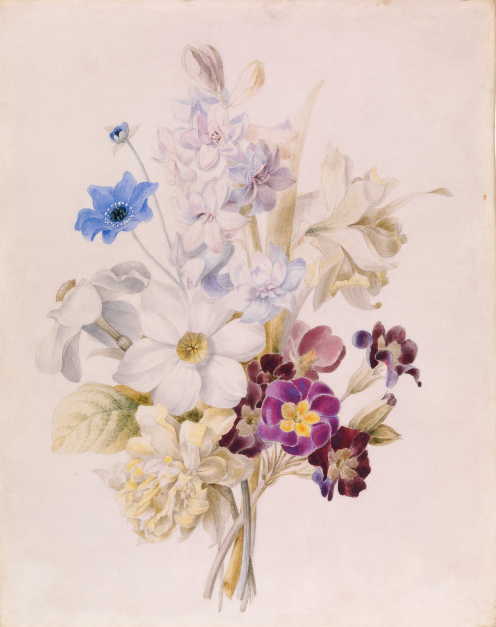Narciso y otras flores de Unknown artist
