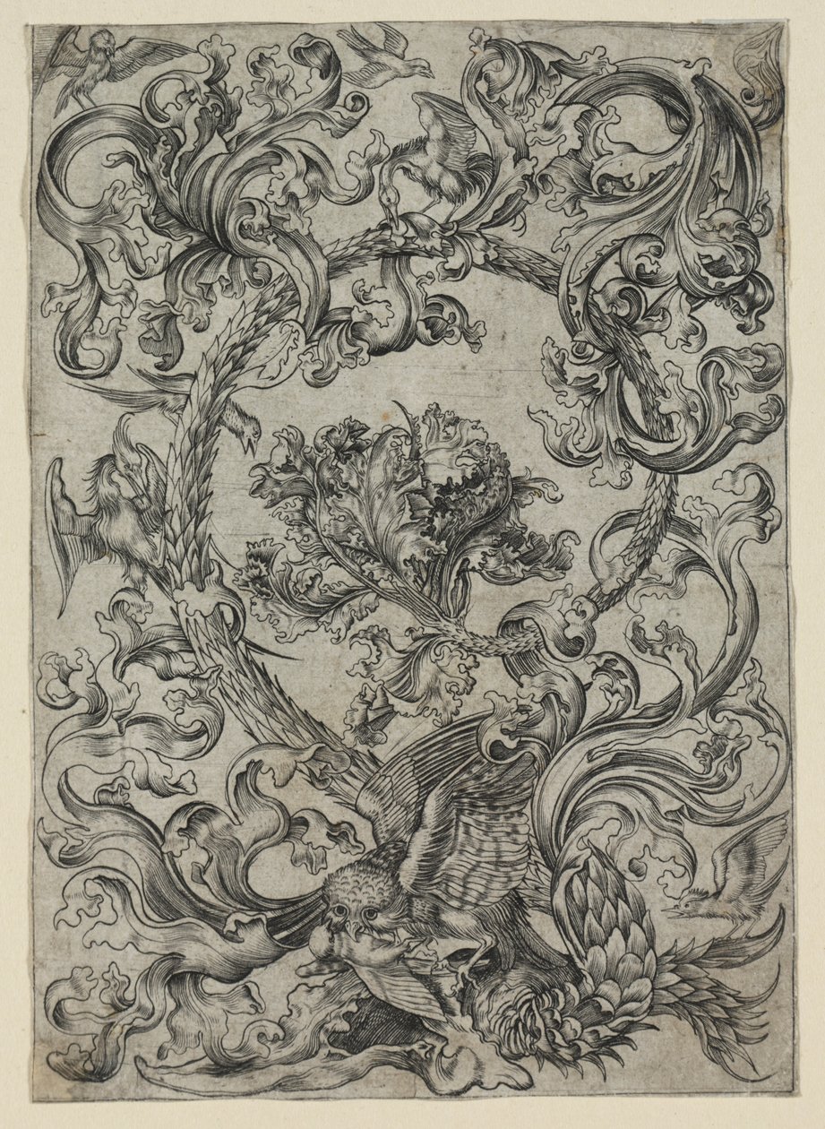 Follaje Ornamental, con un Búho y otros Pájaros de Unknown artist