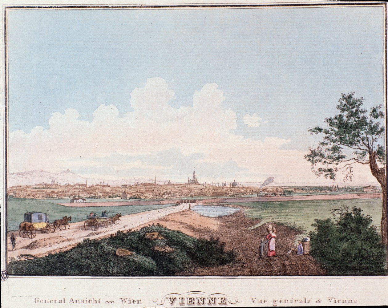 Vista de la ciudad de Viena con puente cruzando el Danubio. Austria de Unknown artist