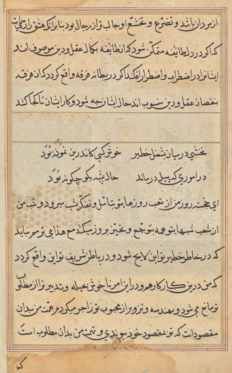 Página de los Cuentos de un Loro (Tuti-nama): página de texto de Unknown artist