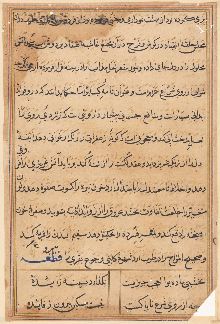 Página de los Cuentos de un Loro (Tuti-nama): página de texto de Unknown artist