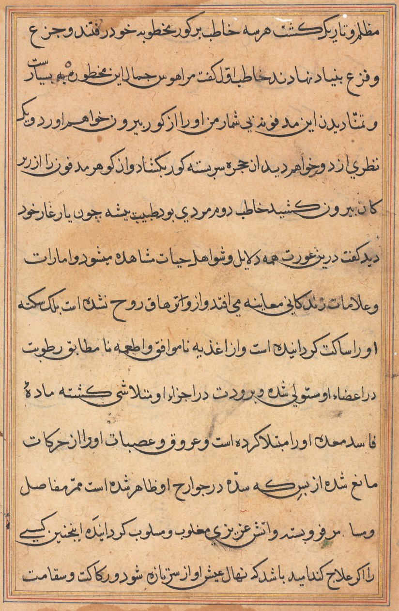 Página de Cuentos de un Loro (Tuti-nama): página de texto de Unknown artist