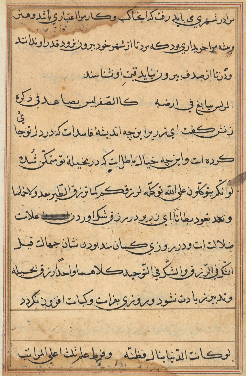 Página de Cuentos de un Loro (Tuti-nama): página de texto de Unknown artist